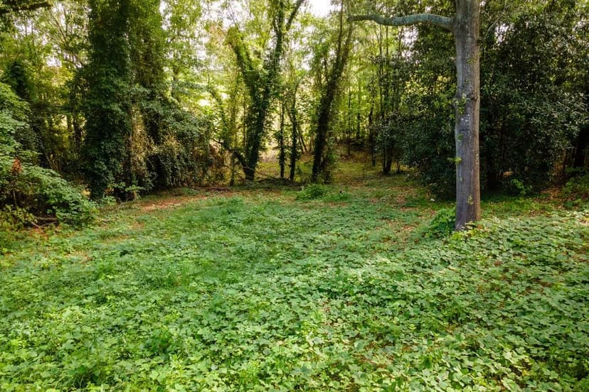 Property from 585 Mountain Road - KW