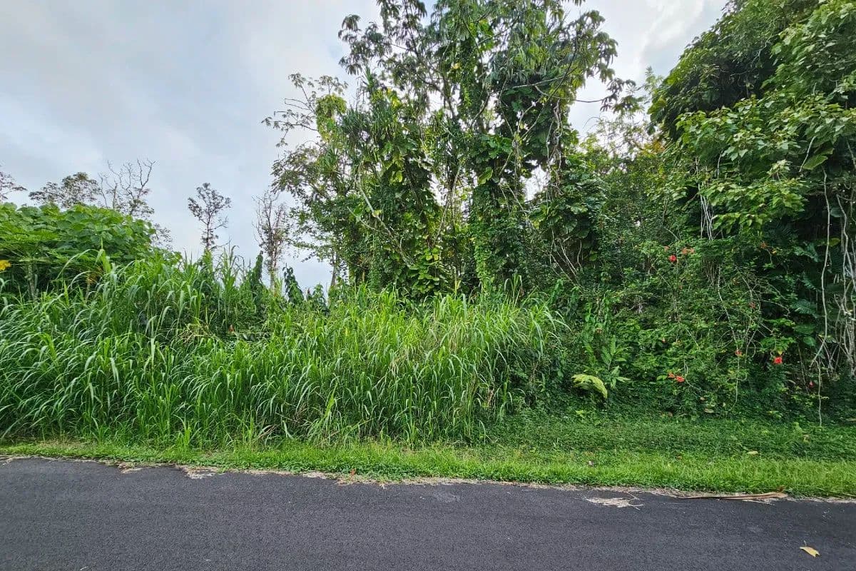 Vacant Land in Pahoa - Pahoa, Hawaii, 96778