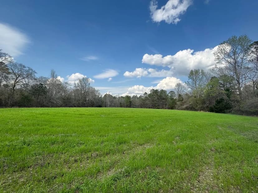 18 Acres in Auburn Perfect for your Dream Home! Ailey Estates Lot 1