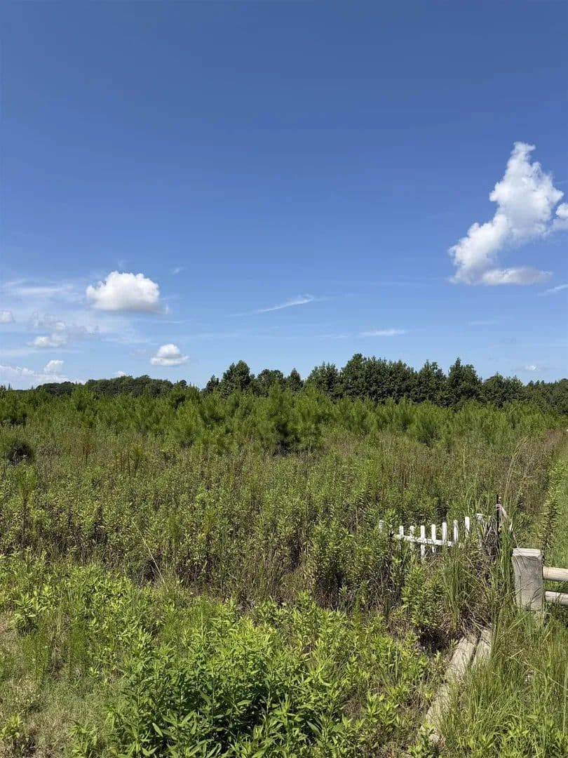Lots & Land-Other in Loris - Loris, South Carolina, 29569