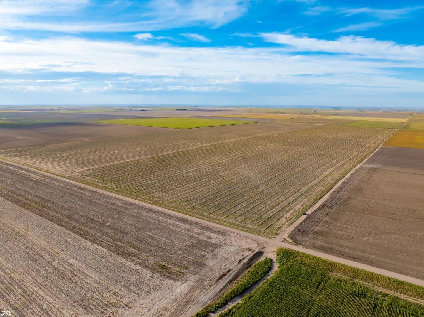 Half Section Dryland Farm, Sedgwick County, Colorado - Ovid, Colorado, 80744