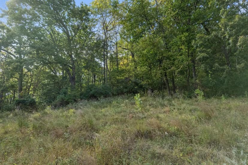 Vacant Land in Winona