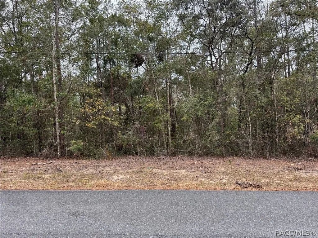 Lots & Land-Other in Citrus Springs - Citrus Springs, Florida, 34434