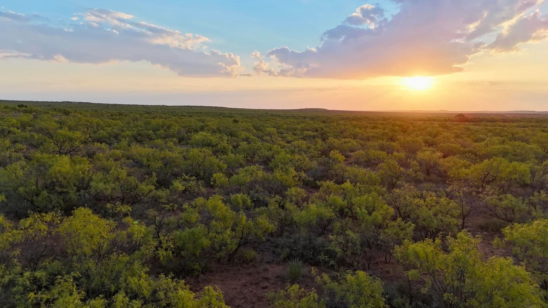 81.65 Acres of Land for Sale in Dickens, TX - land for sale