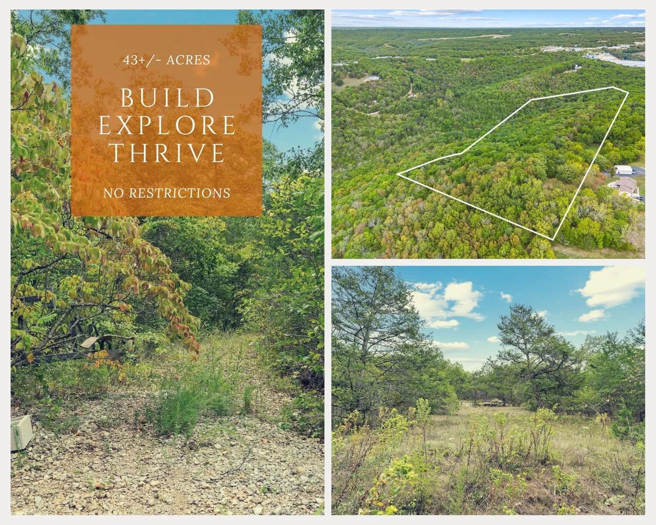 43.8 Acres of Land for Sale in Reeds Spring, MO - Reeds Spring, Missouri, 65737