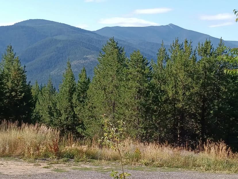 Lots & Land-Other in Haugan