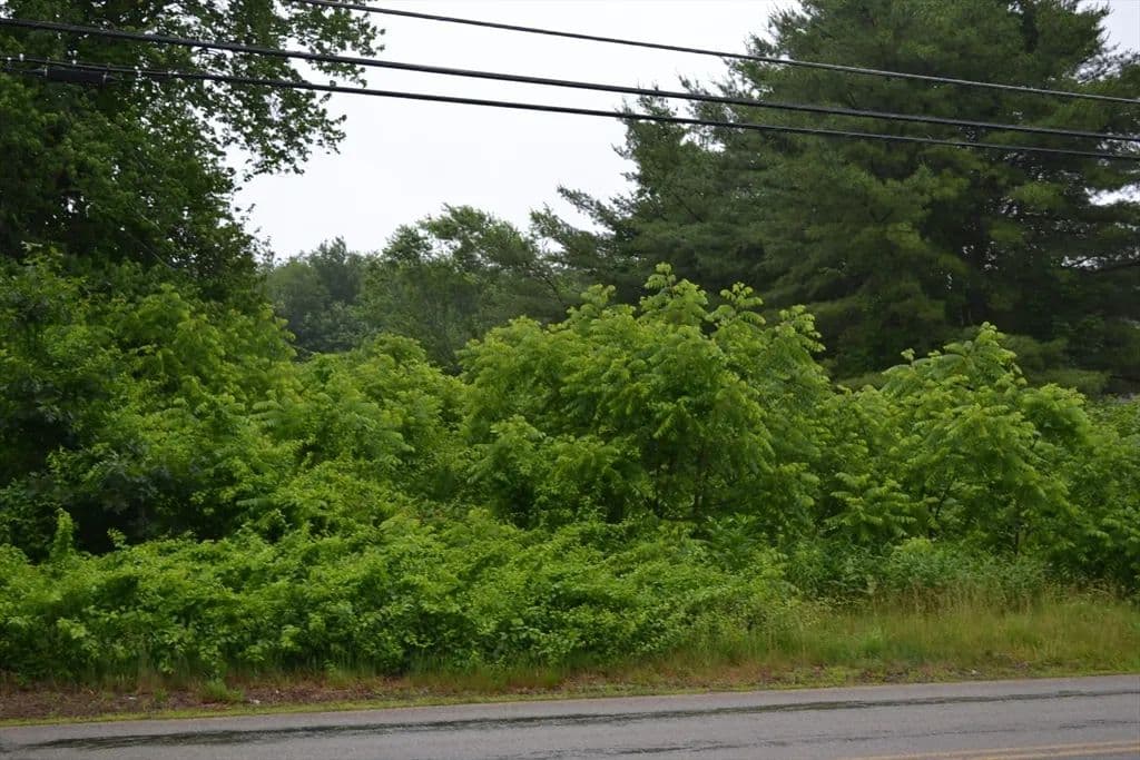 Vacant Land in Brookfield - Brookfield, Massachusetts, 01506
