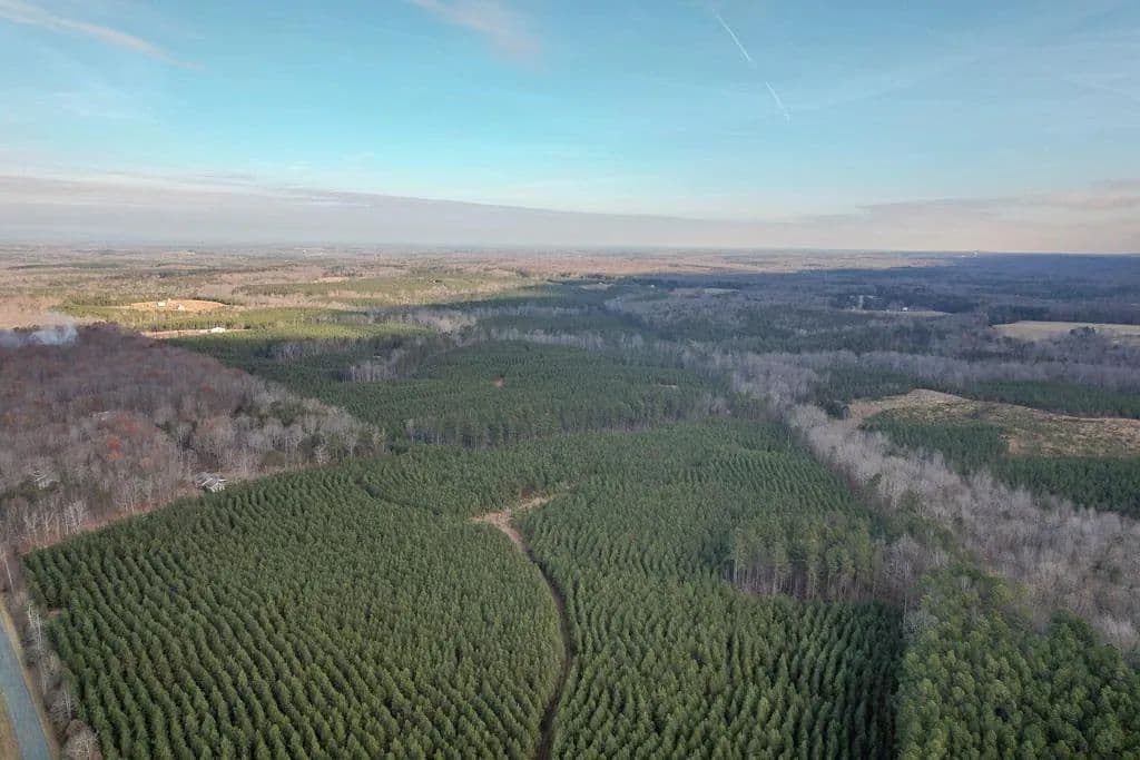 164 Acres of Land for Sale in Dillwyn, VA - Dillwyn, Virginia, 23936