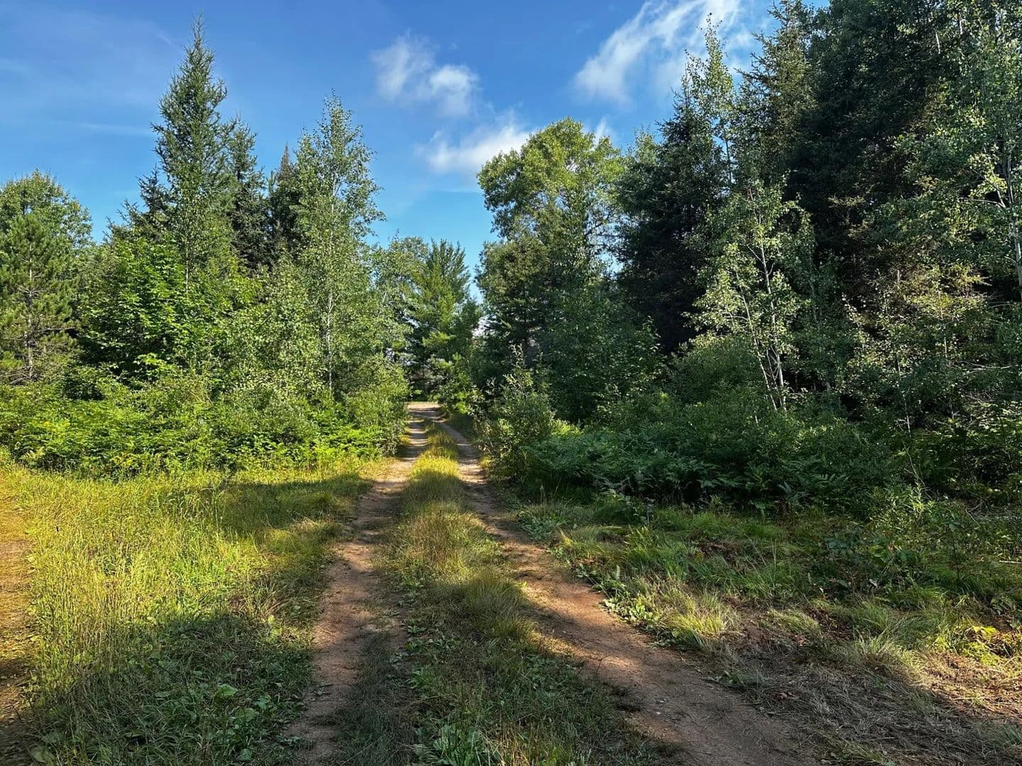 Vacant Land (0-10 Acres) in Watersmeet - Watersmeet, Michigan, 49969