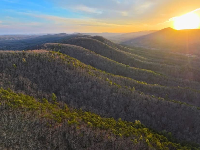 Hills and Hollers Escape: 105+/- Wooded Acres near Jefferson National Forest