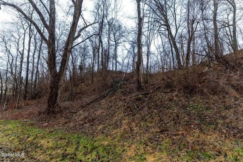 Land -Single Family Acreage in Albany - Albany, New York, 12203