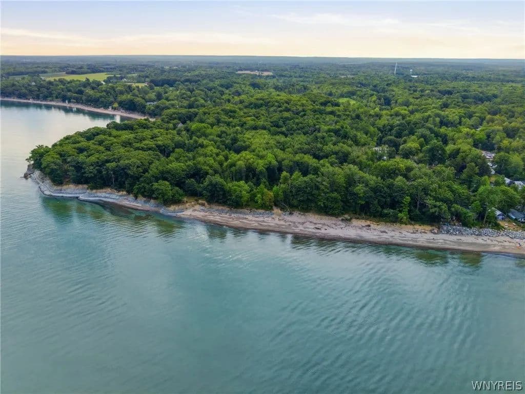 56.1 Acres of Land for Sale in Brant, NY - Brant, New York, 14027