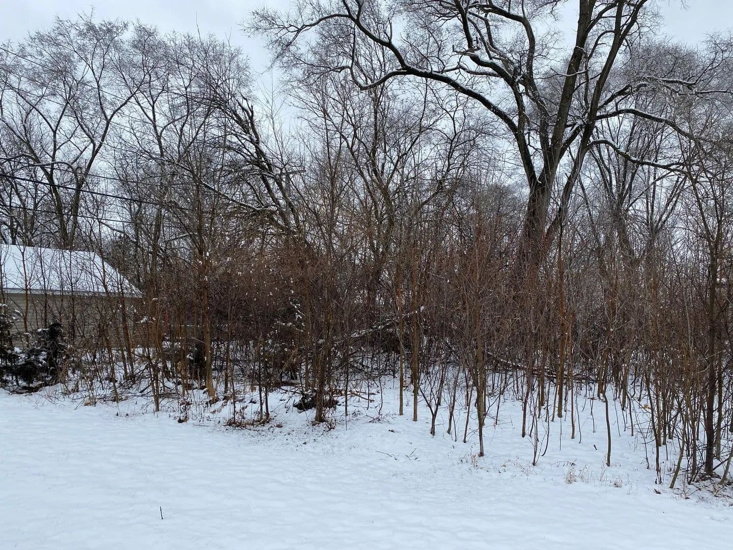 Lots & Land-Other in McHenry - Mchenry, Illinois, 60051