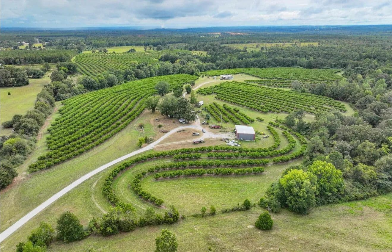 Clanton Home and Investment Property - Clanton, Alabama, 35045