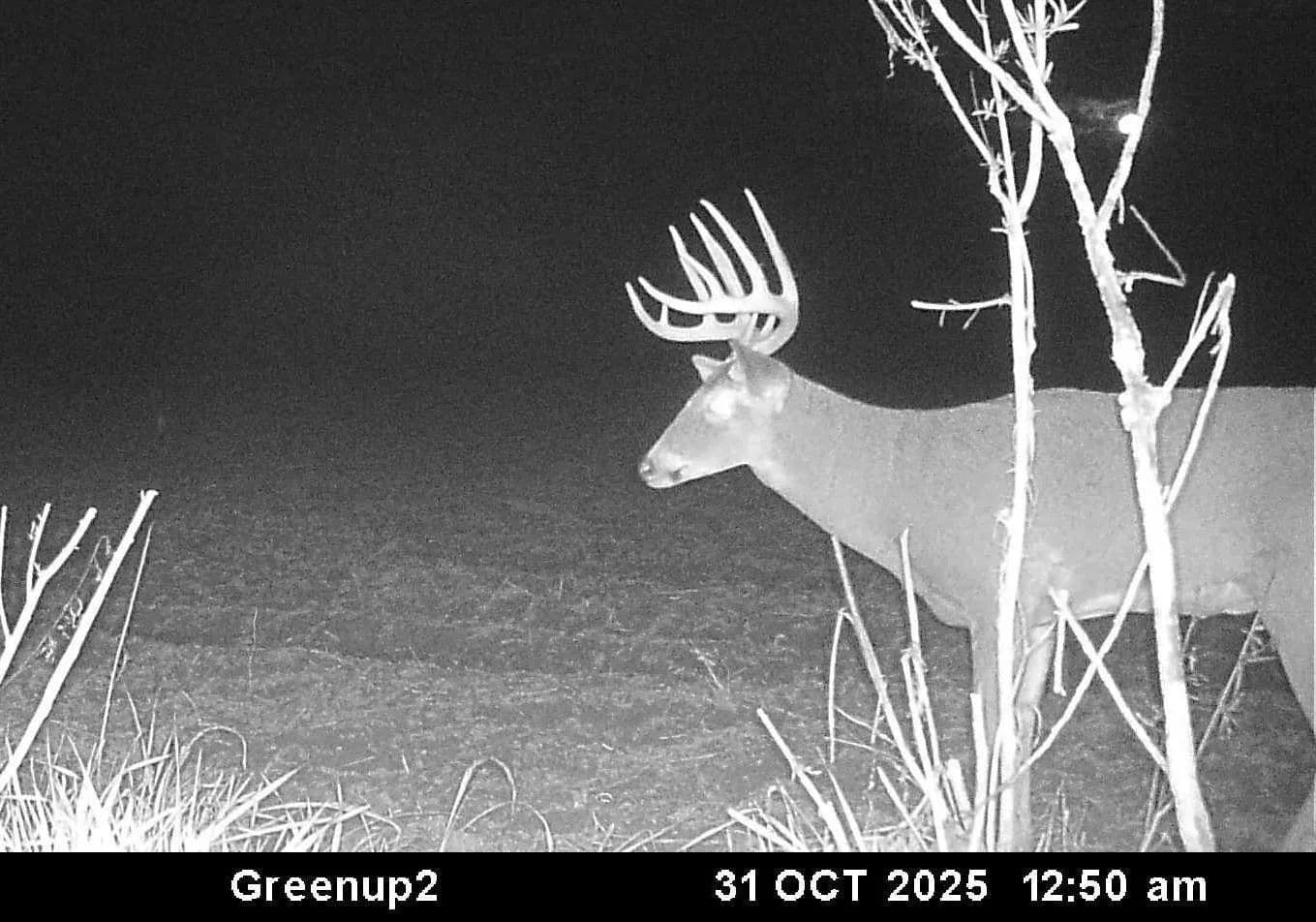 60±-Acre Income Hunting Farm w/Home Sites & Trophy Deer Potential – Cumberland County - Greenup, Illinois, 62428