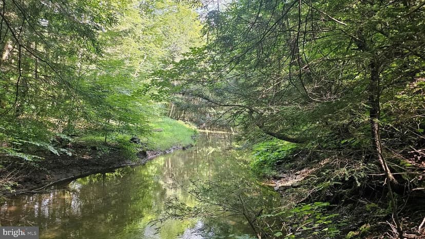 Vacant Land in Mahaffey