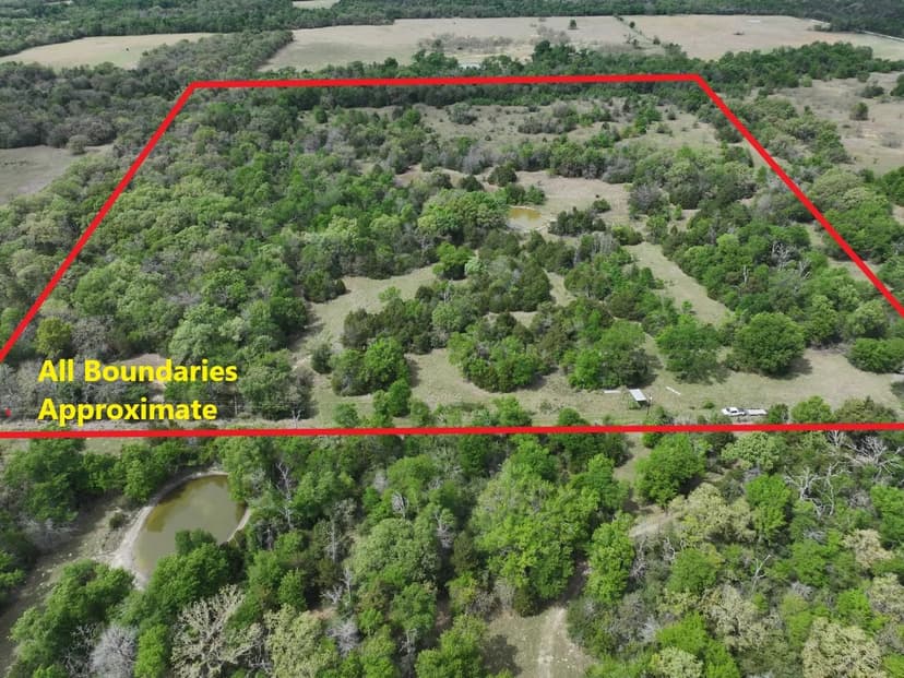 54+ Acres in Kosse, Texas 