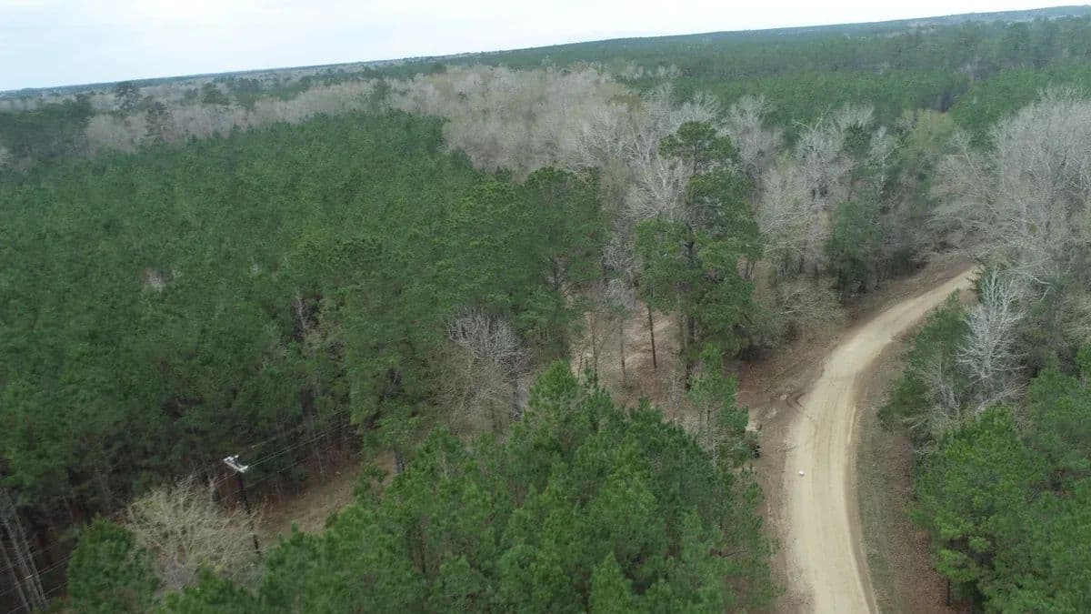Trout Creek 147 - Kirbyville, Texas, 75956