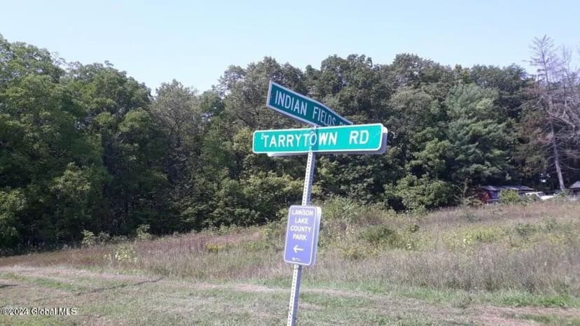 Land -Single Family Acreage in Feura Bush