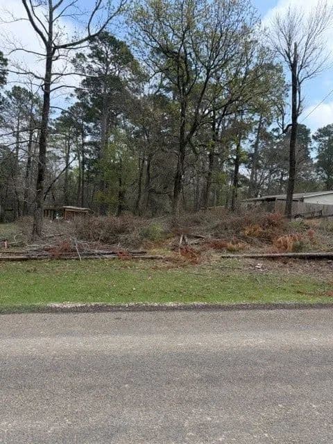 Vacant Land in Trinity - Trinity, Texas, 75862
