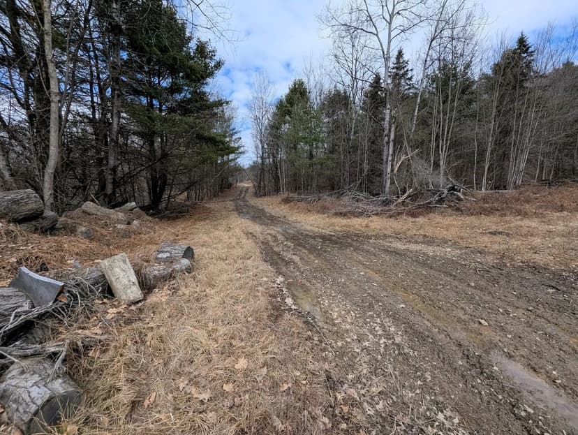 57 acres Hunting and Recreational Property with Stream in Lindley NY Welty Rd