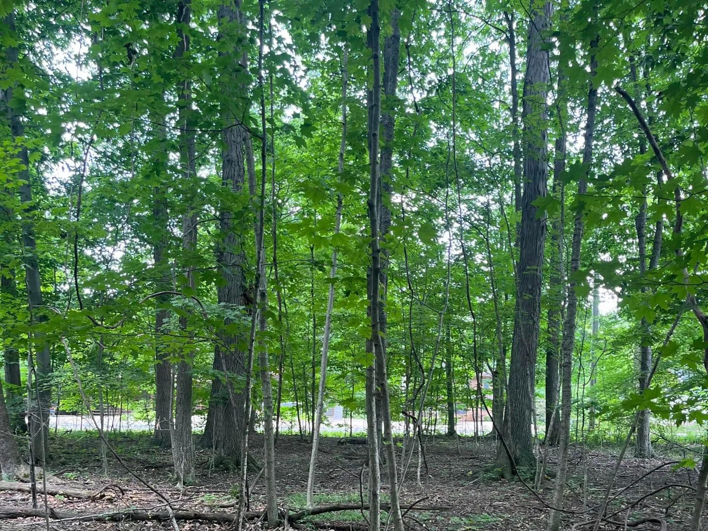Vacant Land in Mount Gilead - Mount Gilead, Ohio, 43338