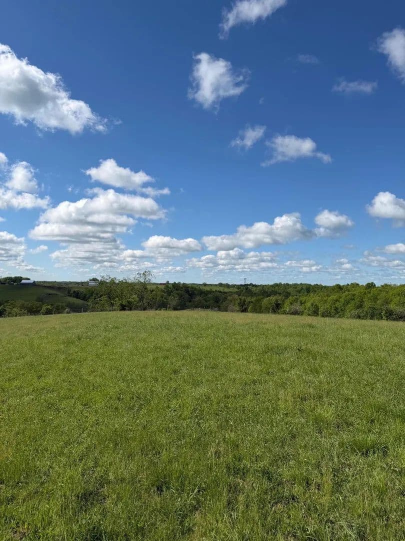 Vacant Land in Williamstown - Williamstown, Kentucky, 41097