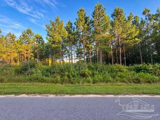 5.85 Acres of Land for Sale in Pace, FL - Pace, Florida, 32571