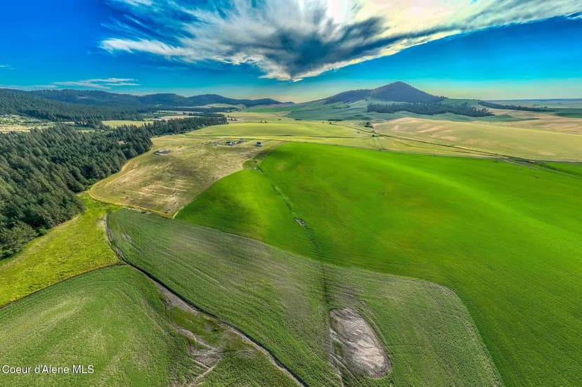 Property from 783 Lot D Old Mills Rd - KW