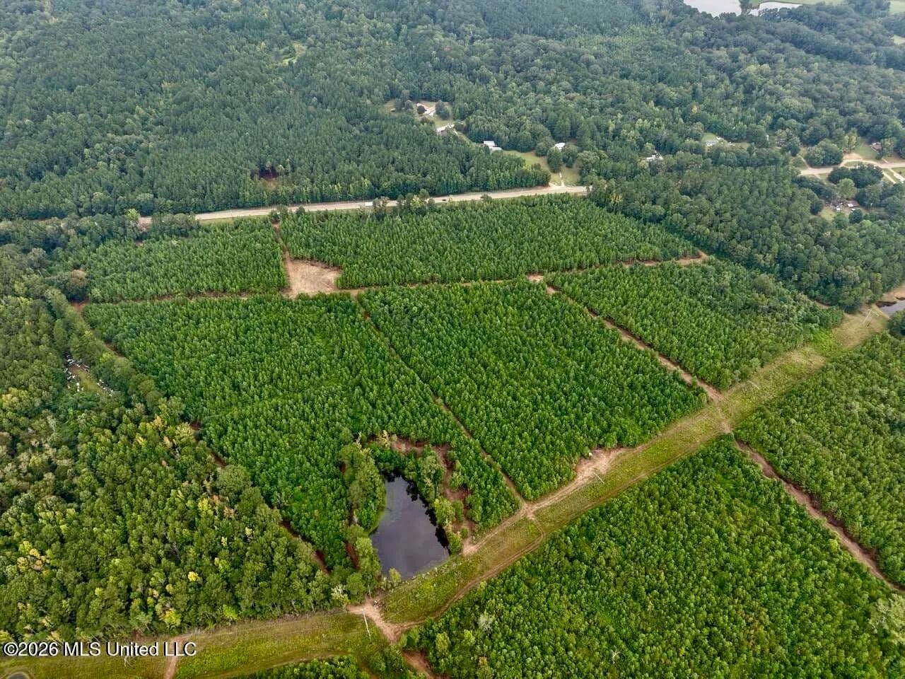 53± Acre Hunting Property Near Centreville, MS - Centreville, Mississippi, 39631