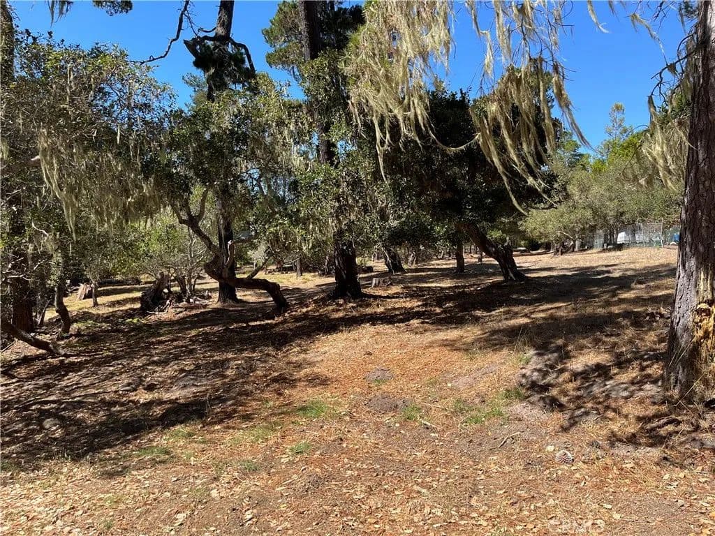 Vacant Land in Cambria - Cambria, California, 93428