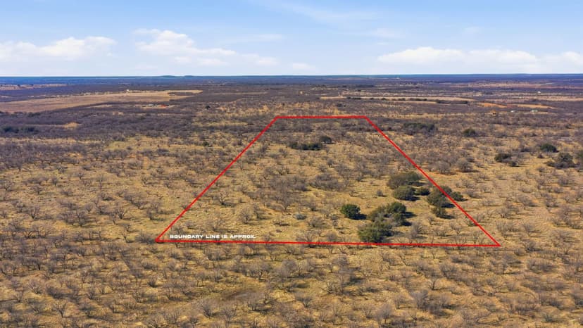 37+/-Acres (Tract 2) FM 880 Moran, TX 76464