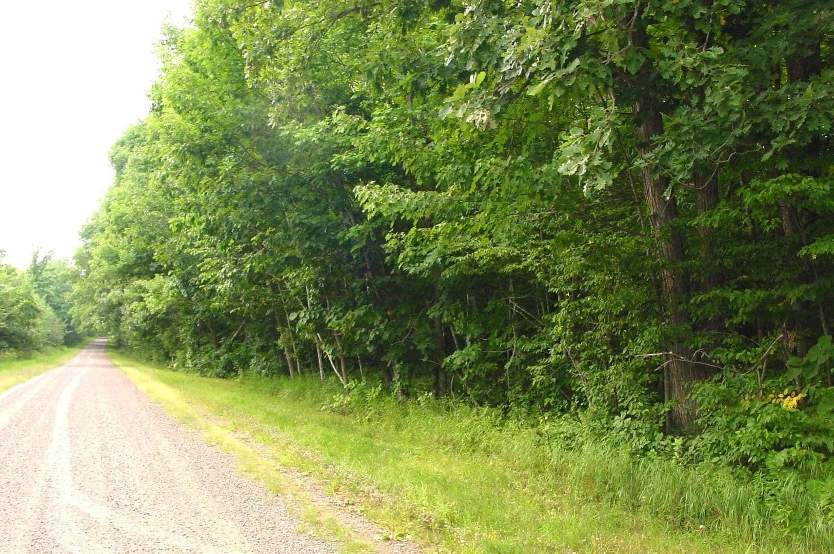 Lots & Land-Other in Bruce - Bruce, Wisconsin, 54819