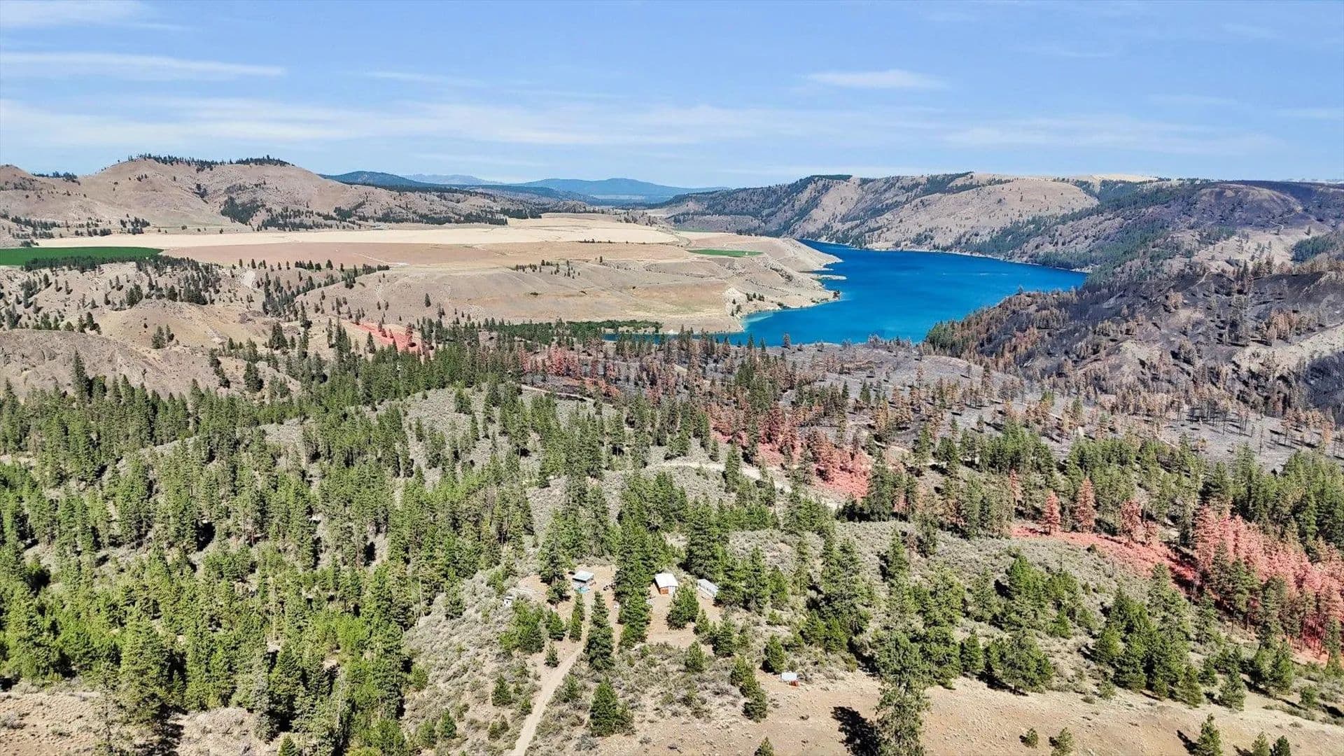 Vacant Land in Davenport - Davenport, Washington, 99122