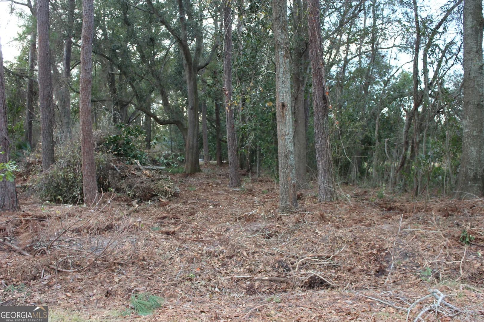 Property from 0 Lott St S - KW - Lenox, Georgia, 31637