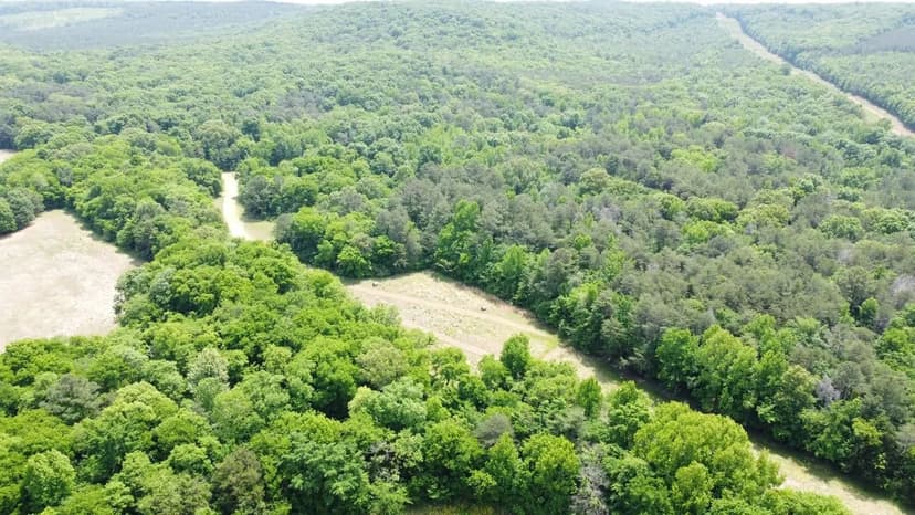 Spring Valley 40