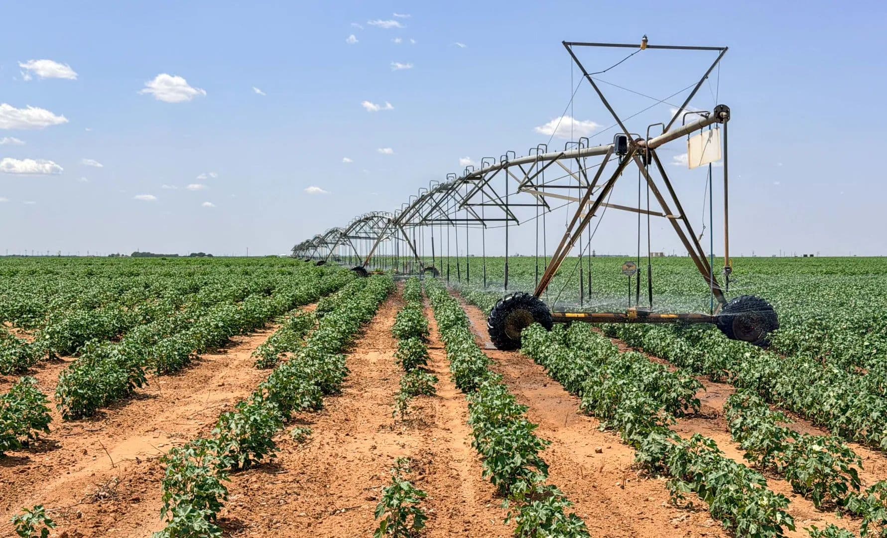 Christian Farm - Levelland, Texas, 79336