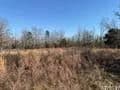 Land -Agricultural (Not Zoned) in Dover - Dover, Arkansas, 73837