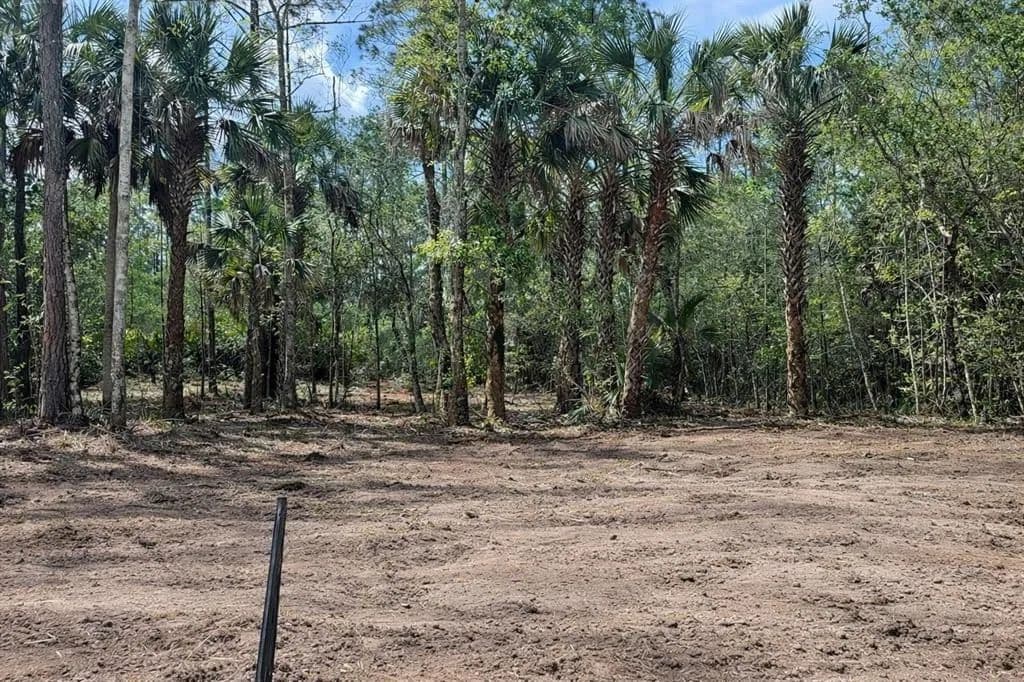 Vacant Land in Bunnell - Bunnell, Florida, 32110