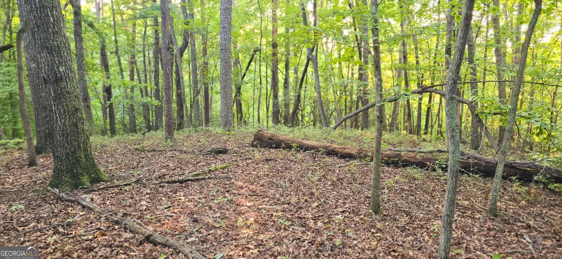 3.92 Acres of Land for Sale in Clarkesville, GA - Clarkesville, Georgia, 30523
