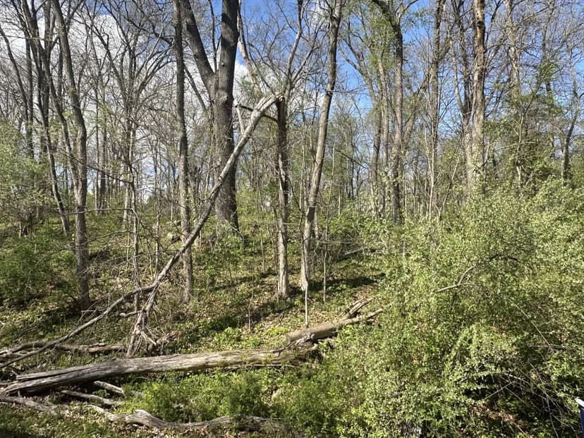Vacant Land in Putnam