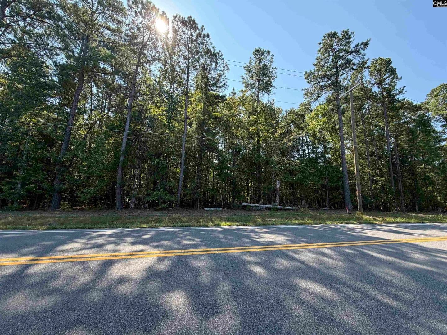 Vacant Land in Chapin - Chapin, South Carolina, 29036