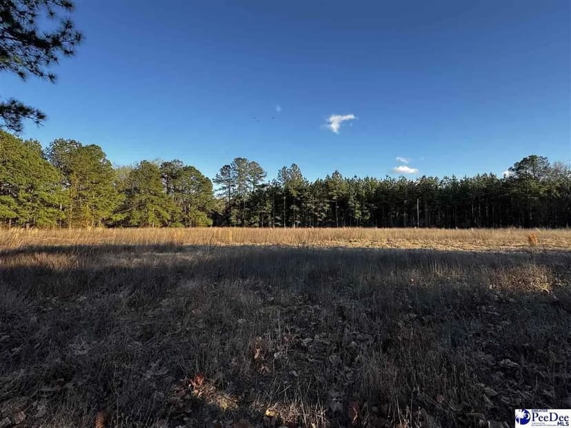Lots & Land-Other in Latta