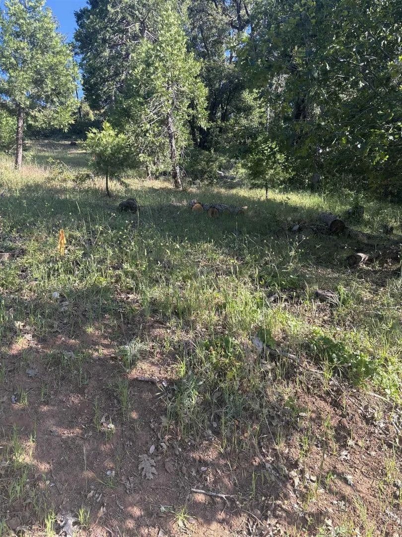 Lots & Land-Other in Tuolumne - Tuolumne, California, 95379