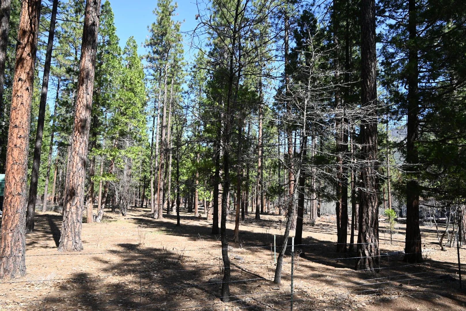 Lots & Land-Other in McArthur - Mcarthur, California, 96056