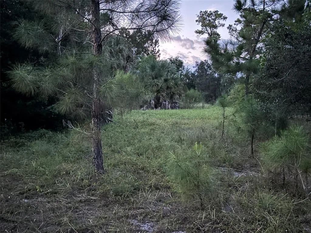 Vacant Land in Eustis - Eustis, Florida, 32736