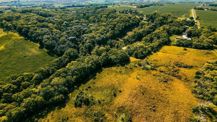 Lots & Land-Other in GLENWOOD