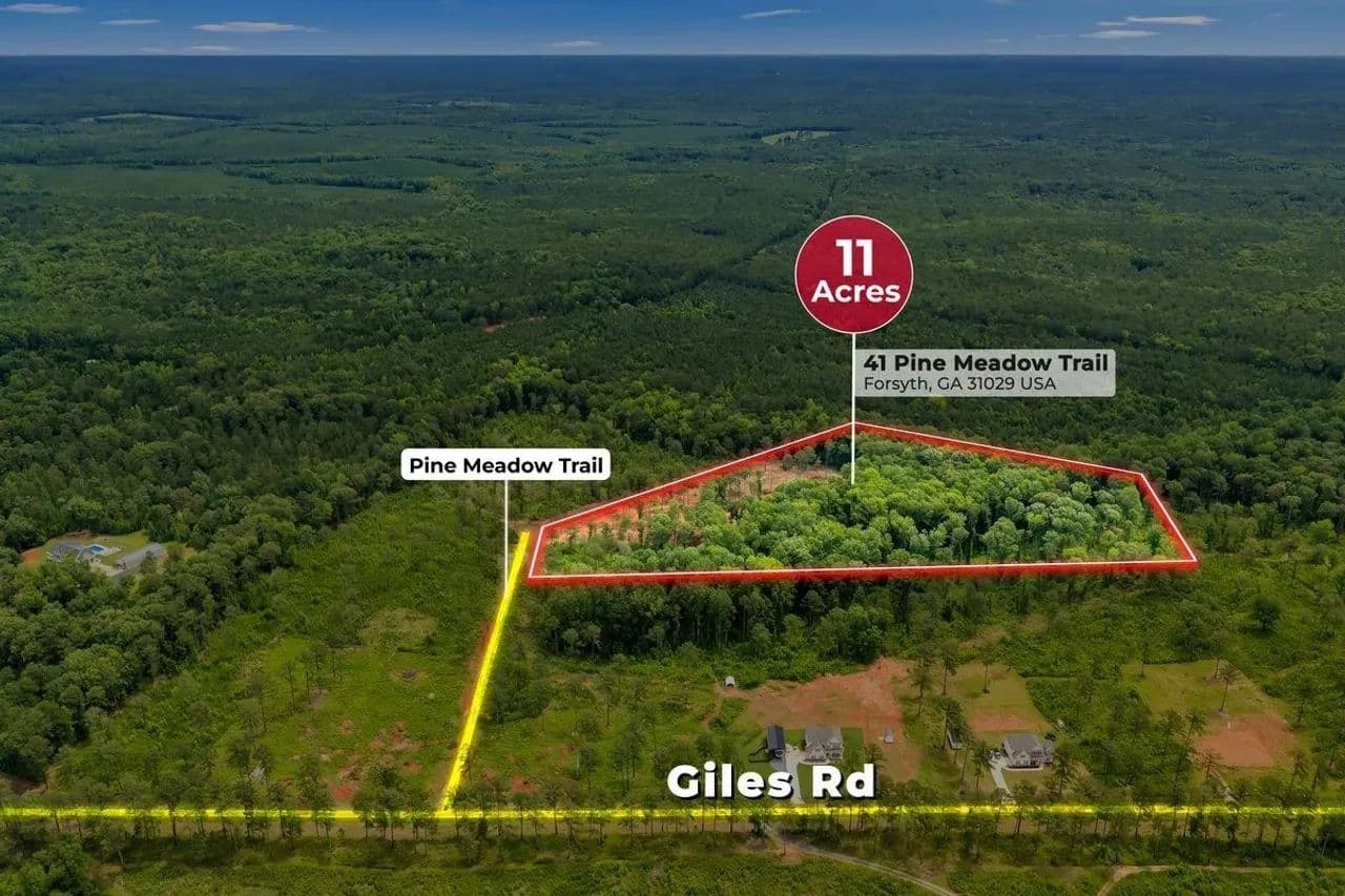 Privacy Meets Proximity in Pine Meadows - Forsyth, Georgia, 31029