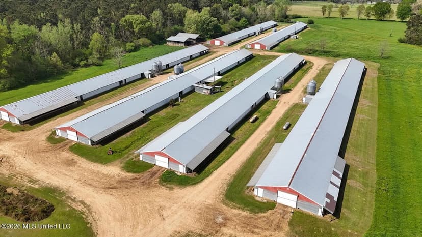 Turnkey 6 House Poultry Farm in Smithdale, MS