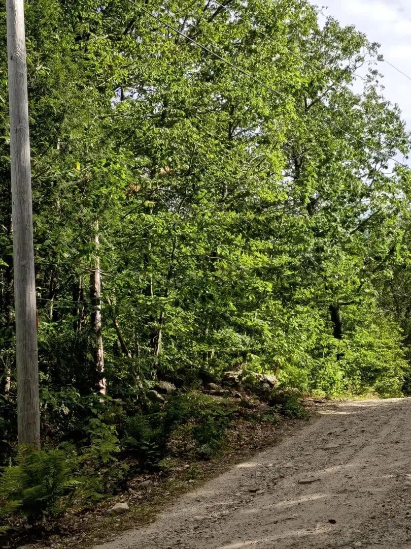 Vacant Land in Parsonsfield